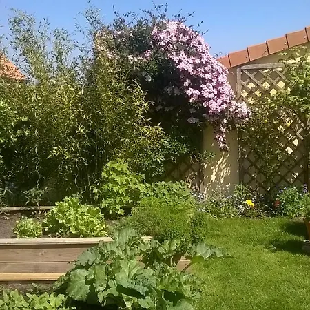 Bed and breakfast L'opale Wissant