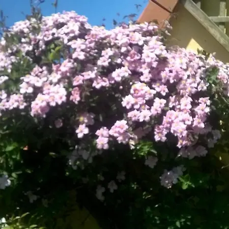L'opale Wissant