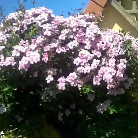 L'opale 3* Wissant